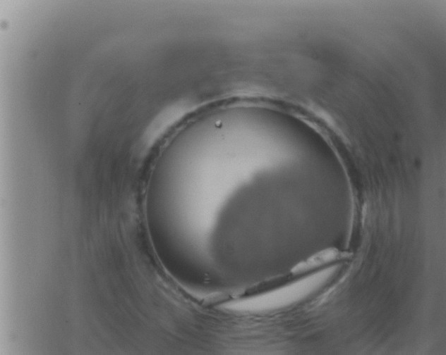 X0000062911263200601201927