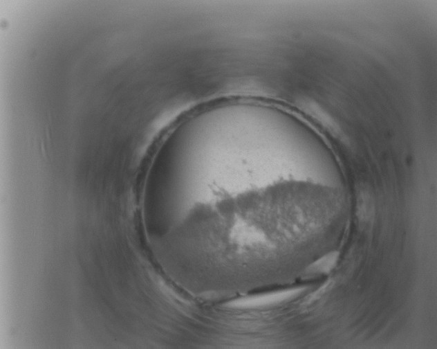 X0000062911264200601201927