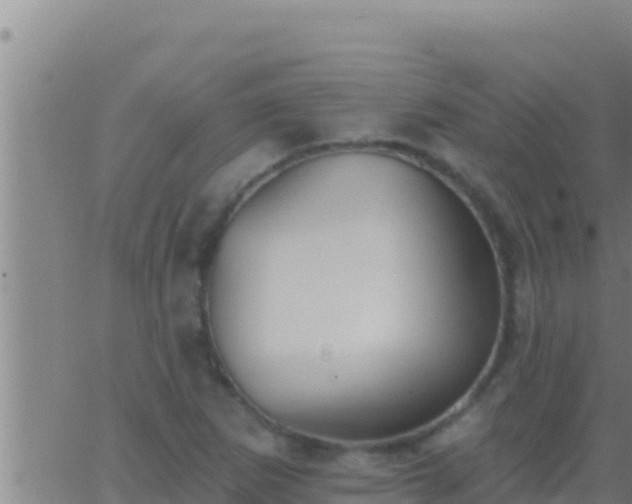 X0000062911265200601201927