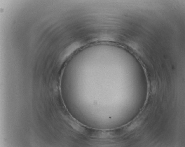 X0000062911266200601201927