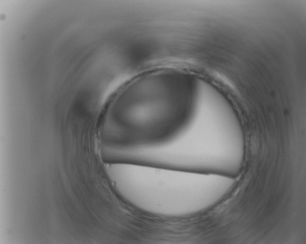 X0000062911267200601201927