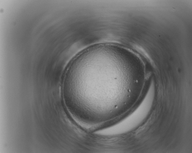 X0000062911268200601201927