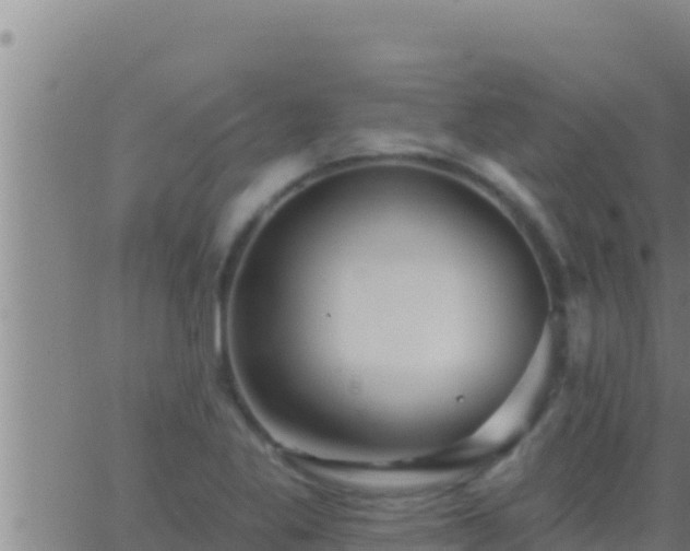 X0000062911269200601201927