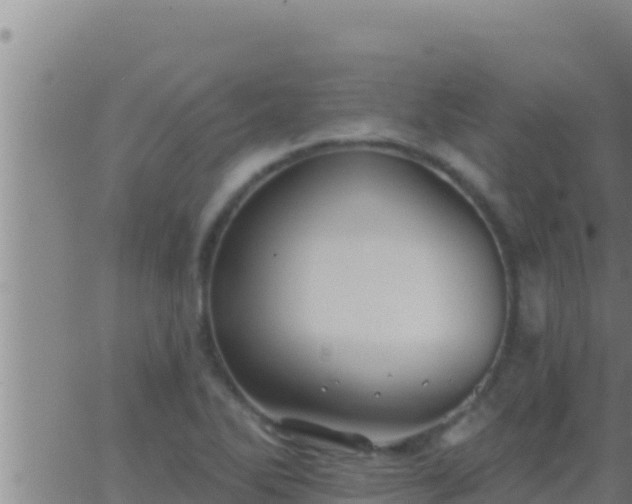 X0000062911270200601201927