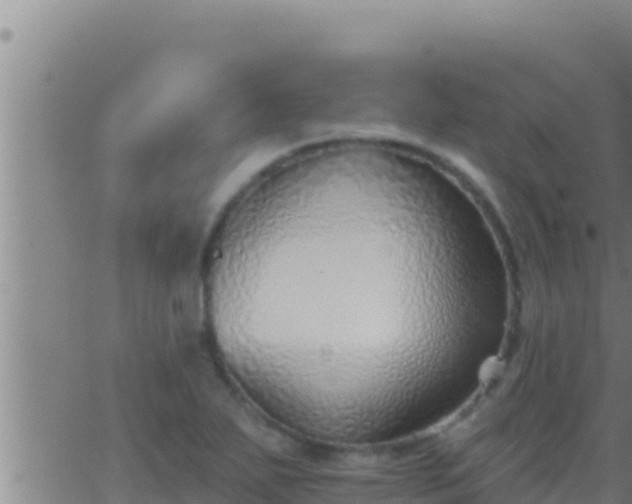 X0000062911271200601201927