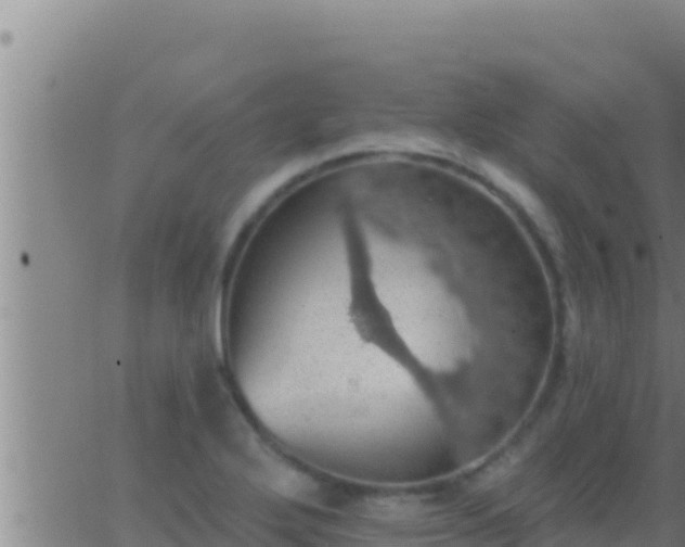 X0000062911272200601201927