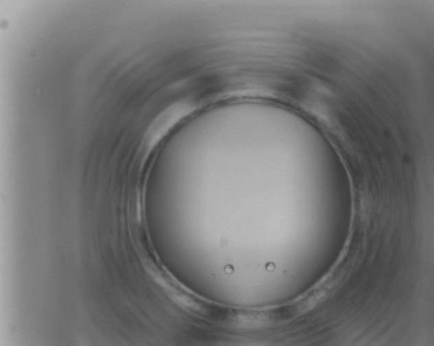 X0000062911274200601201927