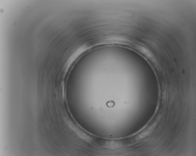 X0000062911275200601201927