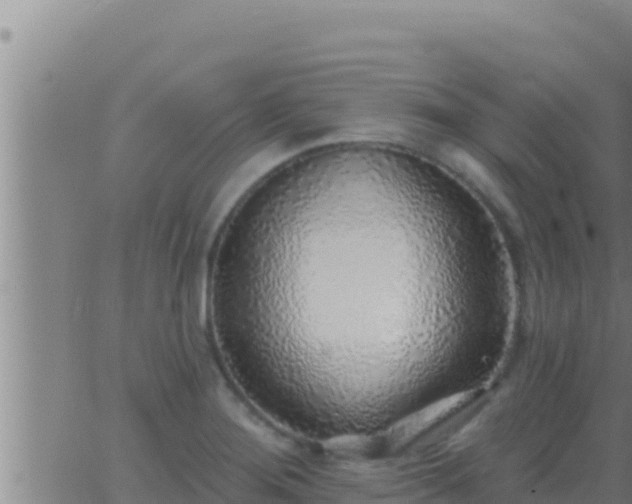 X0000062911276200601201927