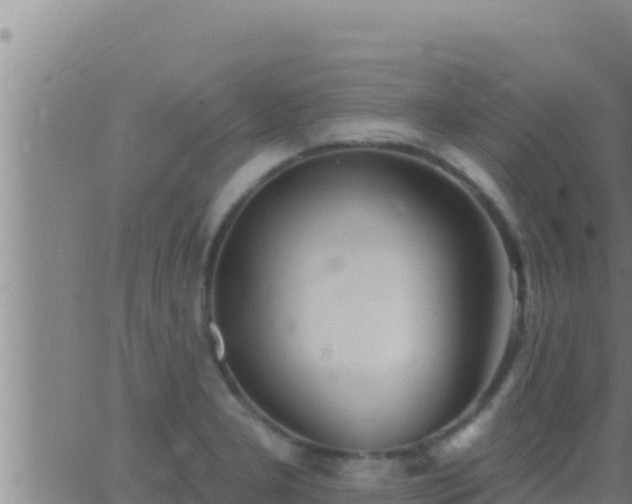 X0000062911277200601201927