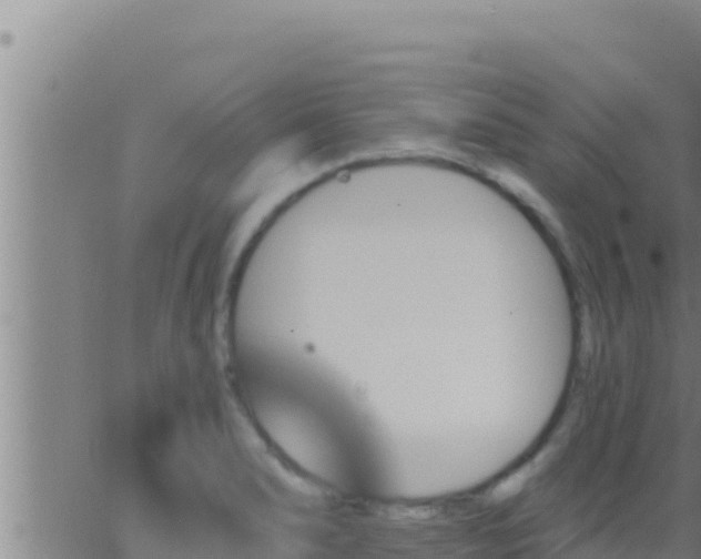 X0000062911278200601201927