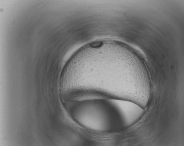 X0000062911279200601201927