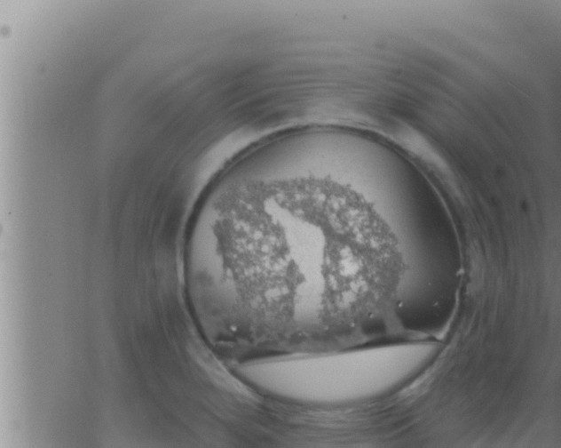 X0000062911280200601201927