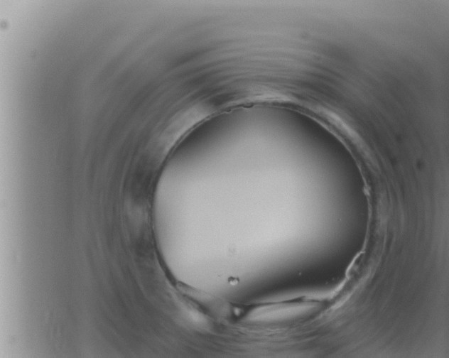 X0000062911281200601201927