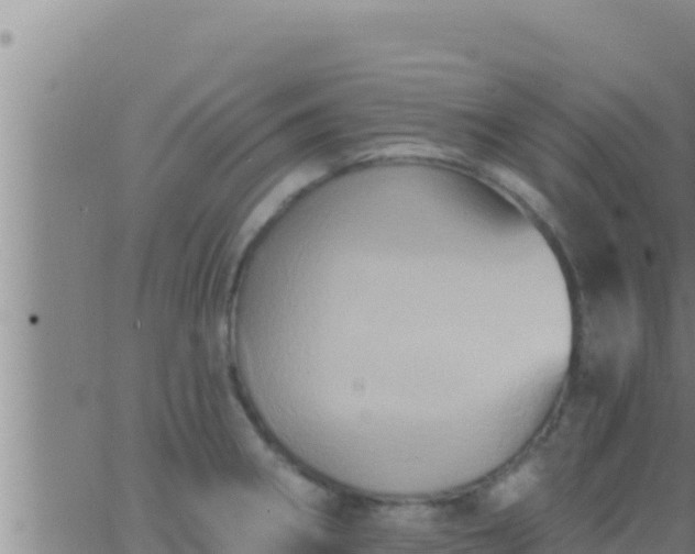 X0000062911282200601201927