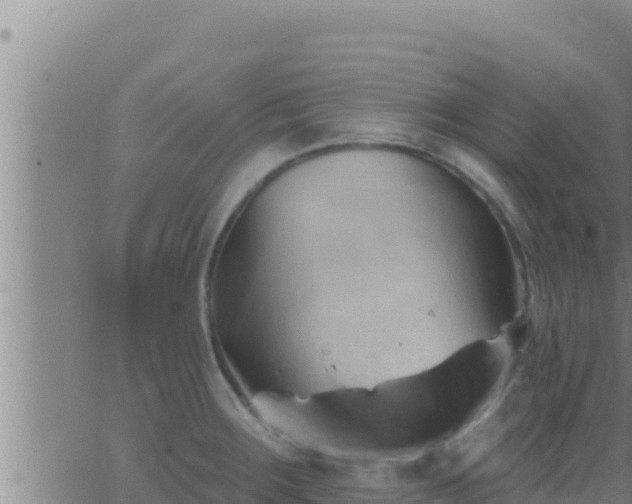 X0000062911283200601201927