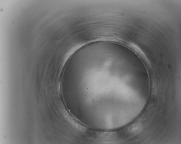 X0000062911284200601201927