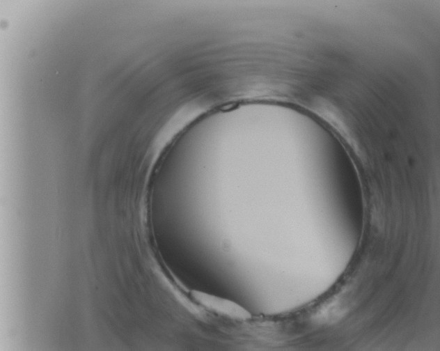 X0000062911285200601201927