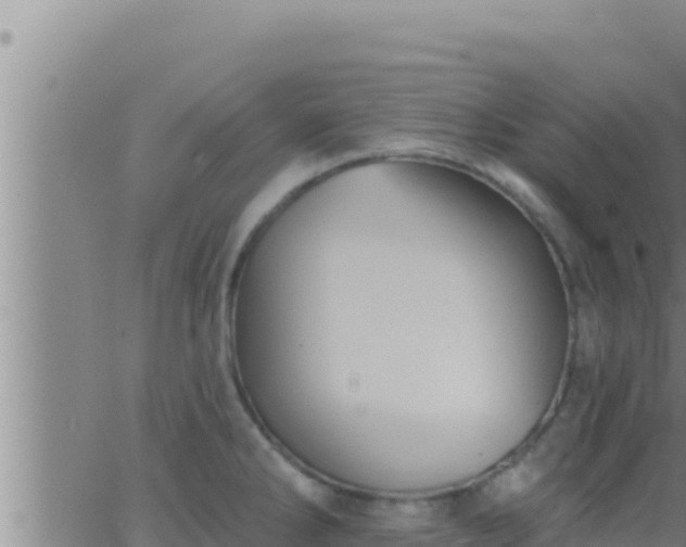 X0000062911286200601201927