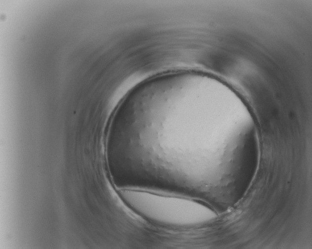 X0000062911287200601201927