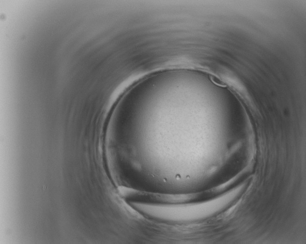 X0000062911288200601201927