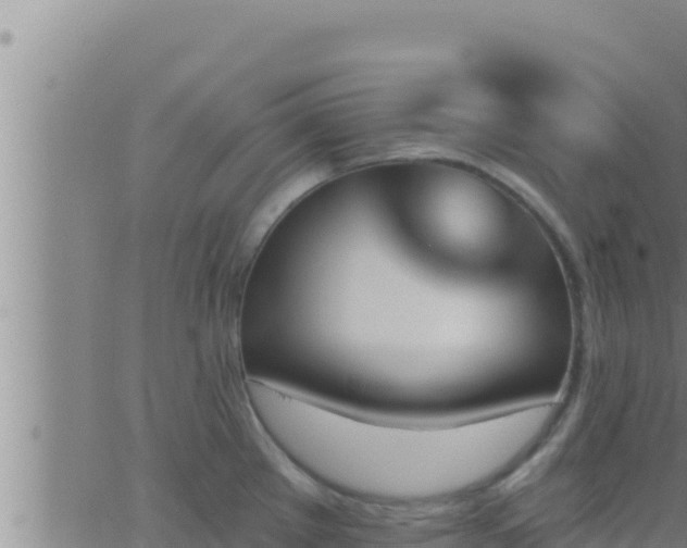 X0000062911289200601201927