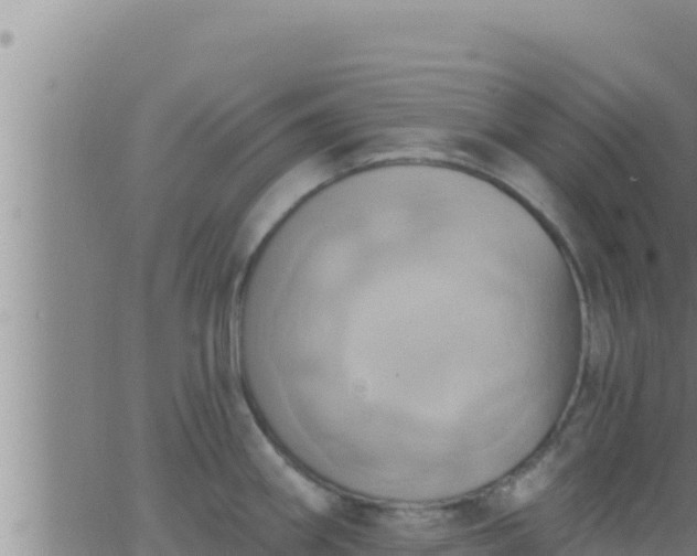 X0000062911290200601201927