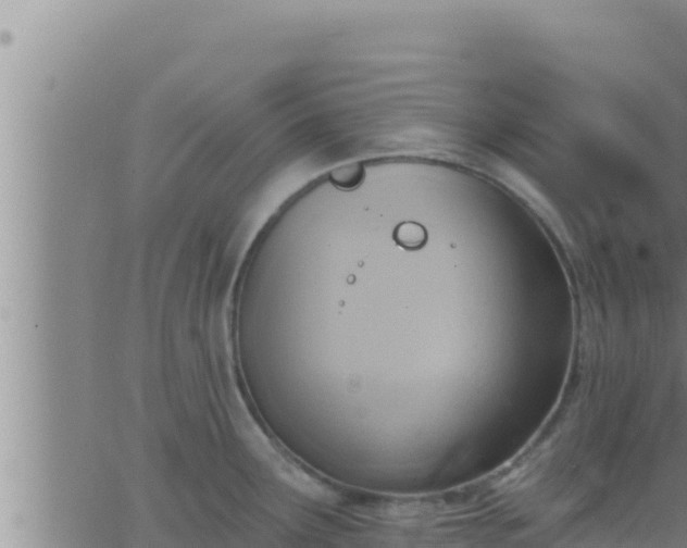 X0000062911291200601201927