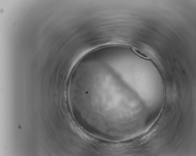 X0000062911292200601201927