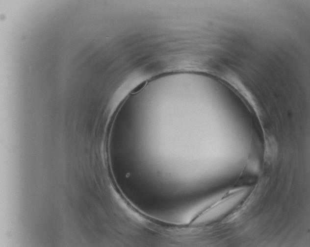 X0000062911293200601201927