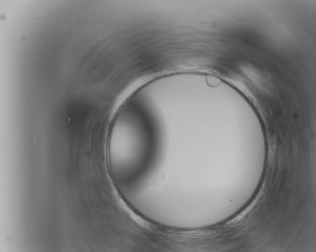 X0000062911294200601201927