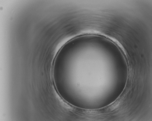 X0000062911295200601201927