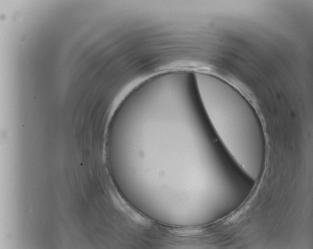 X0000062911296200601201927