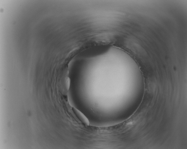 X0000062911297200601201926