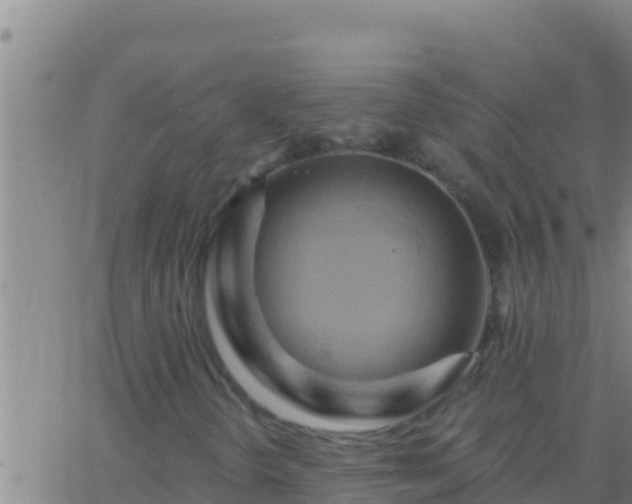 X0000062911298200601201926