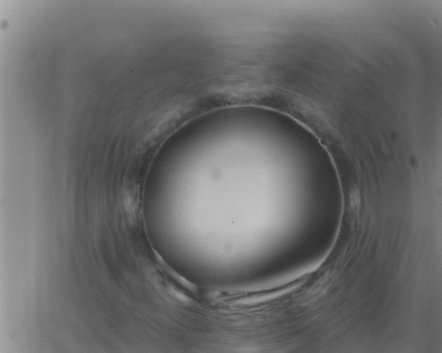 X0000062911300200601201926