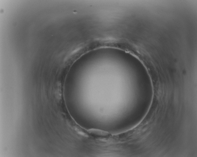 X0000062911301200601201926