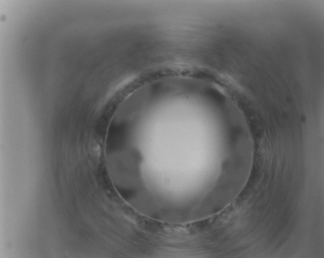 X0000062911302200601201926