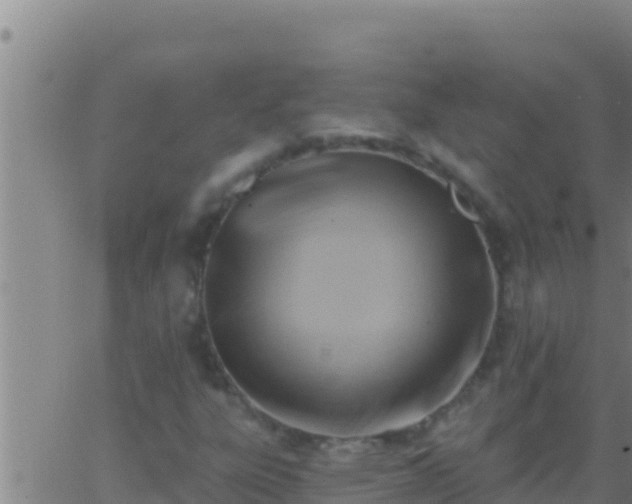 X0000062911303200601201926