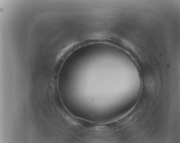 X0000062911304200601201926