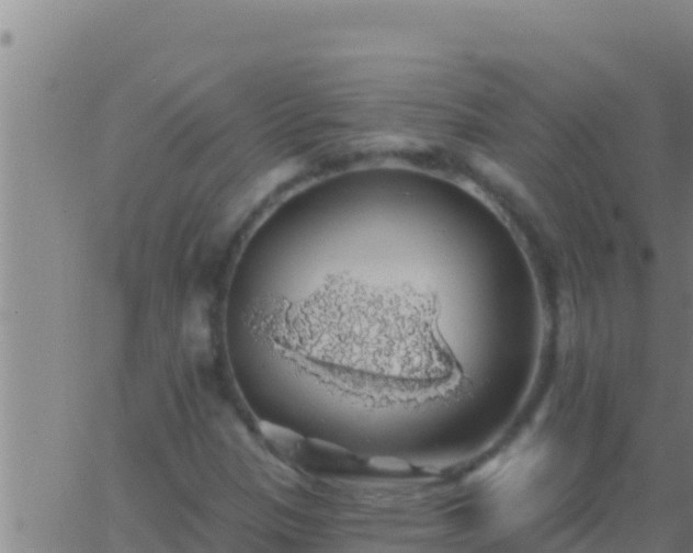 X0000062911305200601201926