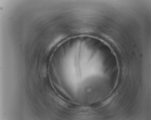 X0000062911306200601201926