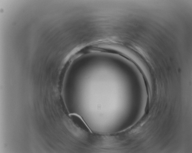 X0000062911308200601201926