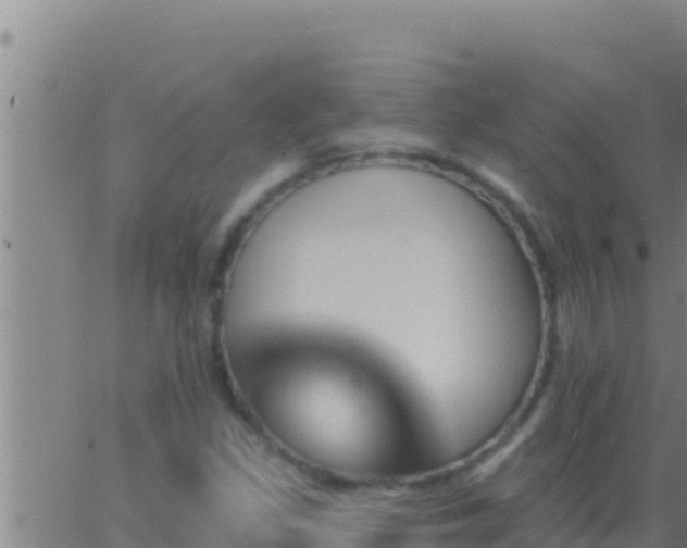 X0000062911309200601201926