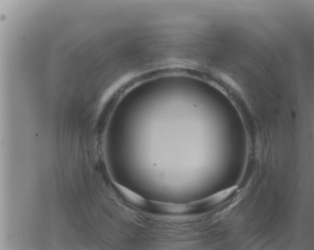 X0000062911310200601201926