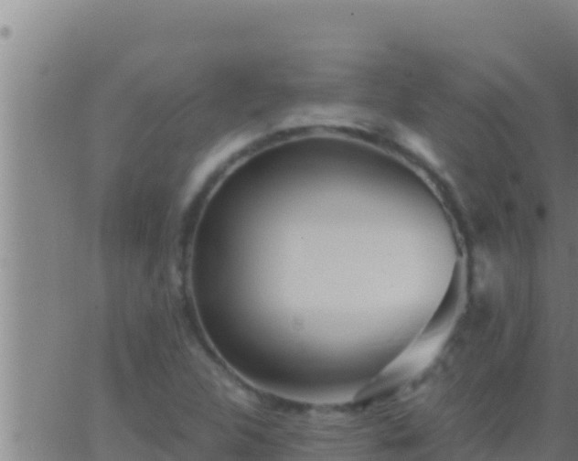 X0000062911312200601201926