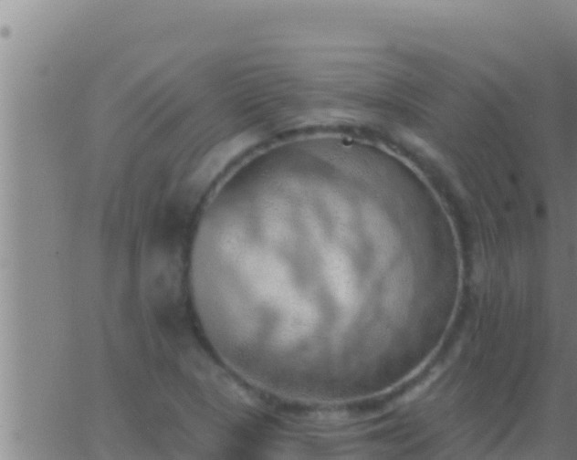 X0000062911313200601201926