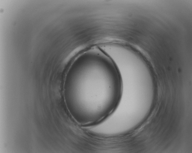 X0000062911314200601201926