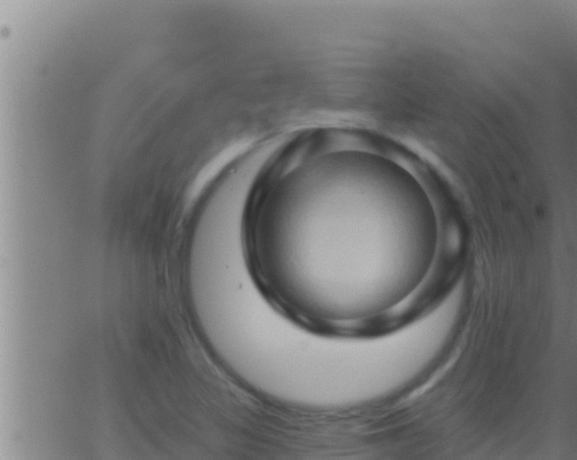 X0000062911317200601201926