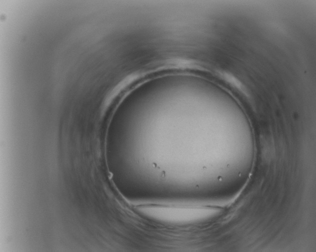 X0000062911318200601201926